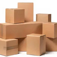 کارتون سازی آریا پاکدشت