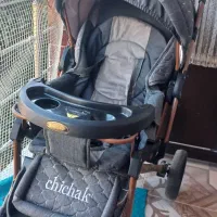 کالسکه دلیجان مدل چیچک