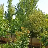 تهاتر باغ با آپارتمان، پرداخت مابه التفاوت تا 15 ت