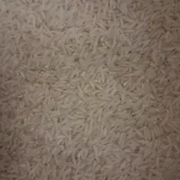 برنج طارم هاشمی