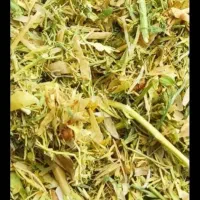 فروش کاه لوبیا قرمزدرجه یک