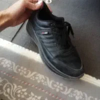 انواع کفش سالم|کیف، کفش، کمربند|سبزوار, کهنه آب|دیوار