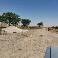 3 تن گندم