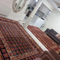 دو عدد فرش ۹ متری.فقط معاوضه میکنم
