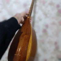 ساز تنبور پاشنه‌ای نفیر