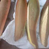 طلع یا تارونه لگاح غنامی