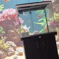 آکواریوم شرکتی|ماهی|اندیشه, اندیشه فاز ۱|دیوار