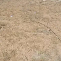 زمین روستای مغانک دماوند|فروش زمین و ملک کلنگی|دماوند, دماوند|دیوار