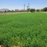 فروش زمین کشاورزی دارای مادر سندمناسب باغ ومسکونی|فروش زمین و ملک کلنگی|اصفهان, اطشاران|دیوار