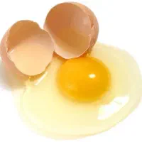 سفیده تخم مرغ