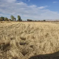 زمین ۱۵۰۰ متری