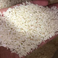 برنج طارم هارشمی درجه ۱
