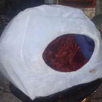 خانه گربه و سگ