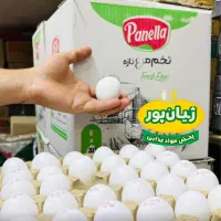 تخم مرغ دُرشت پانلا پخش ژیان پور