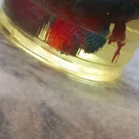 ماهی زینتی با قیمت باور نکردنی|ماهی|لردگان, |دیوار