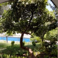شدیدا زیرقیمت/ ویلایی/شهرک غرب/1از6/بررسی بفرمایید