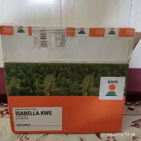 بذر چغندر ایزابلا