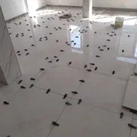 نصب سرامیک وموزایک سنگ پله