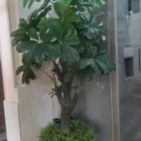 گل مصنوعی فروشی