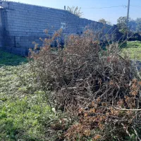 تمیز کردن باغات و مزارع متراژ بالا