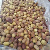 خرما خشک زاهدی