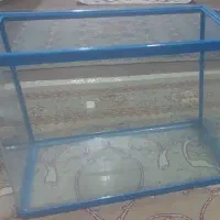 آکواریوم ماهی زیبا|ماهی|شاهدشهر, |دیوار