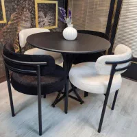 صندلی پلاستیکی طرح تدی|میز و صندلی غذاخوری|شیراز, محراب|دیوار