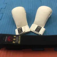 اموزش  کاراته  حرفه ای