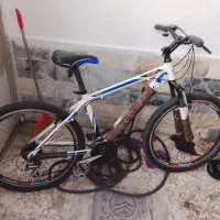 دوچرخه ویوا