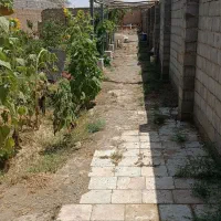 باغ جاده مشهد فروشی سندشش دانگ