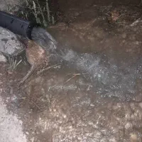 زمین باغی خوش قیمت معاوضه با ماشین هم دارم|فروش زمین و ملک کلنگی|مبارکه, |دیوار