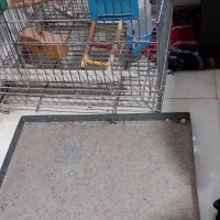 قفس بزرگ کاسکو و عروس هلندی|لوازم جانبی حیوانات|بدره, |دیوار