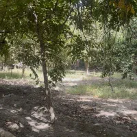 ۵۰۰ متر زمین با جواز و سند تک برگ تهراندشت|فروش زمین و ملک کلنگی|کرج, عظیمیه|دیوار