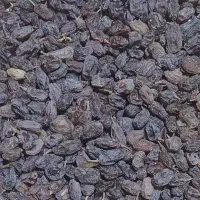 کشمش و شیره انگور