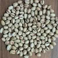 فروش 85کیلو پسته فندقی آجیلی دستچین درشت