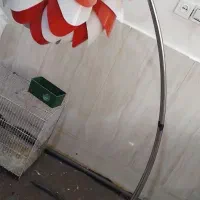 چراغ خواب|چراغ خواب و آباژور|مشهد, شترک|دیوار