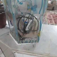 یک عدداکواریوم باتمام وسایل