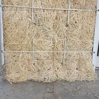 کولر 2800