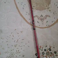 کاسی لانس ماهیگیری