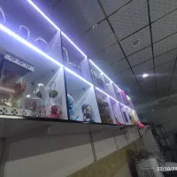 واگذاری مغازه قنادی|اجارهٔ مغازه و غرفه|رومشکان, |دیوار