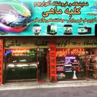 شاگرد نیرو فروشنده