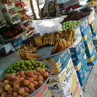 مغازه اجاره