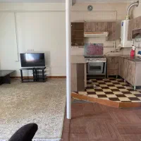 اجاره روزانه/ساعتی /منزل مبله واقع در بلوار جمهوری|اجارهٔ کوتاه‌مدت آپارتمان و سوئیت|شیراز, جمهوری|دیوار