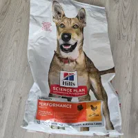 غذای سگ هیلز  HILLS آمریکایی