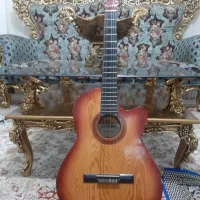 گیتار همراه با کیفش