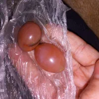 مهره عقیق کهنه به بالاترین فروش