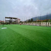 فروش چمن مصنوعی به قیمت کارخانه|مصالح و تجهیزات ساختمان|آمل, |دیوار