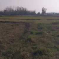 زمین-کشاورزی