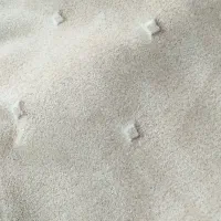 پالازموکت