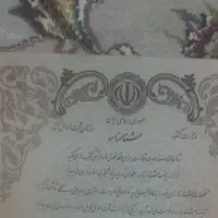 شناسنامه گم شده